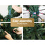 XM-TR-FULL-6F-PINE-202509291452-04.jpg
