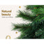 XM-TR-FULL-6F-PINE-202509291452-05.jpg