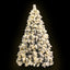 XM-TR-FULL-6FT-GS-LED-00.jpg