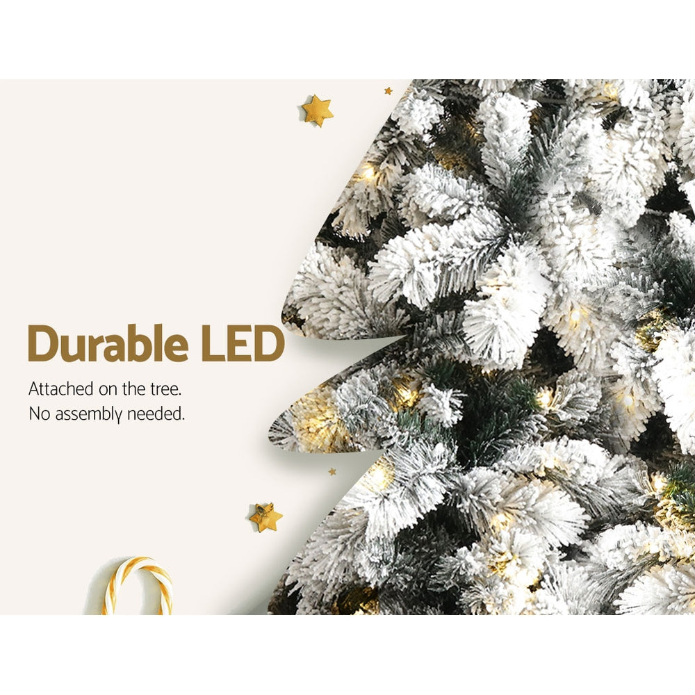 XM-TR-FULL-6FT-GS-LED-05.jpg