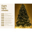 XM-TR-FULL-6FT-LED-202509291452-04.jpg