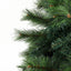 XM-TR-FULL-7F-PINE-202509291452-02.jpg