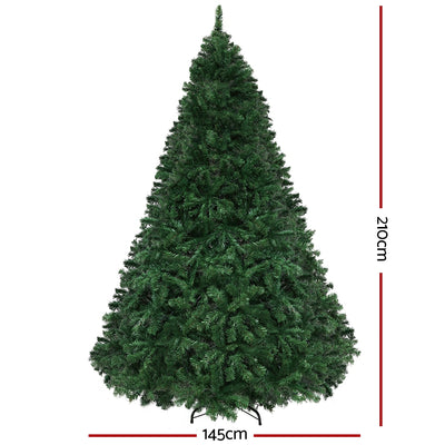XM-TR-FULL-7FT-MC-202509291500-01.jpg