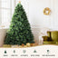 XM-TR-FULL-8F-PINE-AB-202509291500-03.jpg