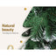 XM-TR-FULL-8FT-SNOW-06.jpg