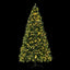 XM-TR-FULL-9FT-LED-202509291526-00.jpg