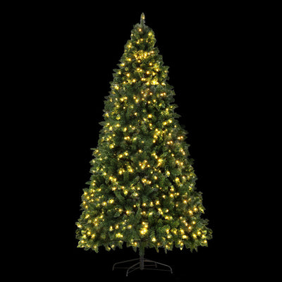 XM-TR-FULL-9FT-LED-202509291526-00.jpg