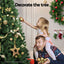 XM-TR-FULL-9FT-LED-202509291526-04.jpg