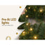XM-TR-GAR-6FT-LED-86878-03.jpg