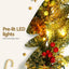 Jingle Jollys 3M Christmas Garland Pre-lit LED with Pine Cones Xmas Decor Green