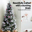 XM-TR-ORNAMENTS-SET-PK-202508062054-04.jpg