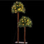 XM-TR-PALM-5FT-LED-202509291539-00.jpg