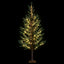XM-TR-PLANT-6FT-LED-202508181242-00.jpg