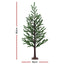 XM-TR-PLANT-6FT-LED-202508181242-01.jpg