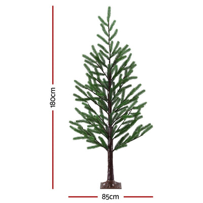 XM-TR-PLANT-6FT-LED-202508181242-01.jpg