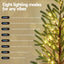 XM-TR-PLANT-6FT-LED-202508181242-03.jpg