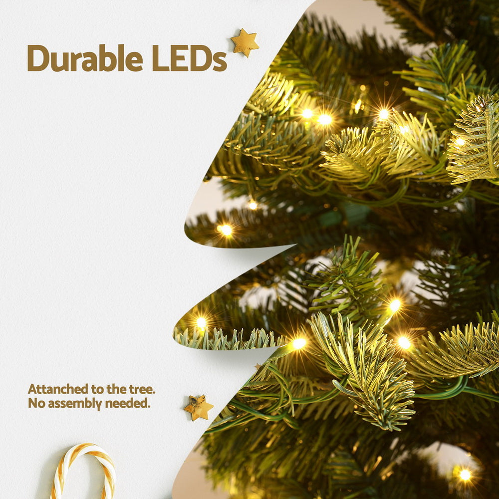 XM-TR-SPARSE-7FT-LED-202508061628-05.jpg