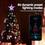 XM-TR-TOPPER-RGB-MC-202509042109-04.jpg