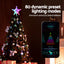 XM-TR-TOPPER-RGB-MC-202509042109-04.jpg