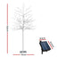 XM-TR-TWIG-SOLAR-150-WH-88652-01.jpg