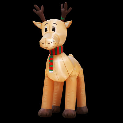 XMAS-INF-REIN-5M-00.jpg