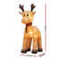 XMAS-INF-REIN-5M-01.jpg