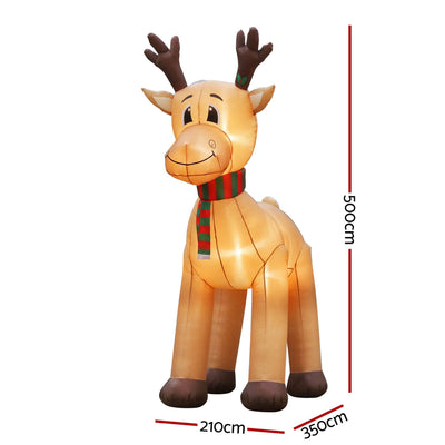 XMAS-INF-REIN-5M-01.jpg