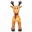 XMAS-INF-REIN-5M-02.jpg