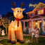 XMAS-INF-REIN-5M-07.jpg