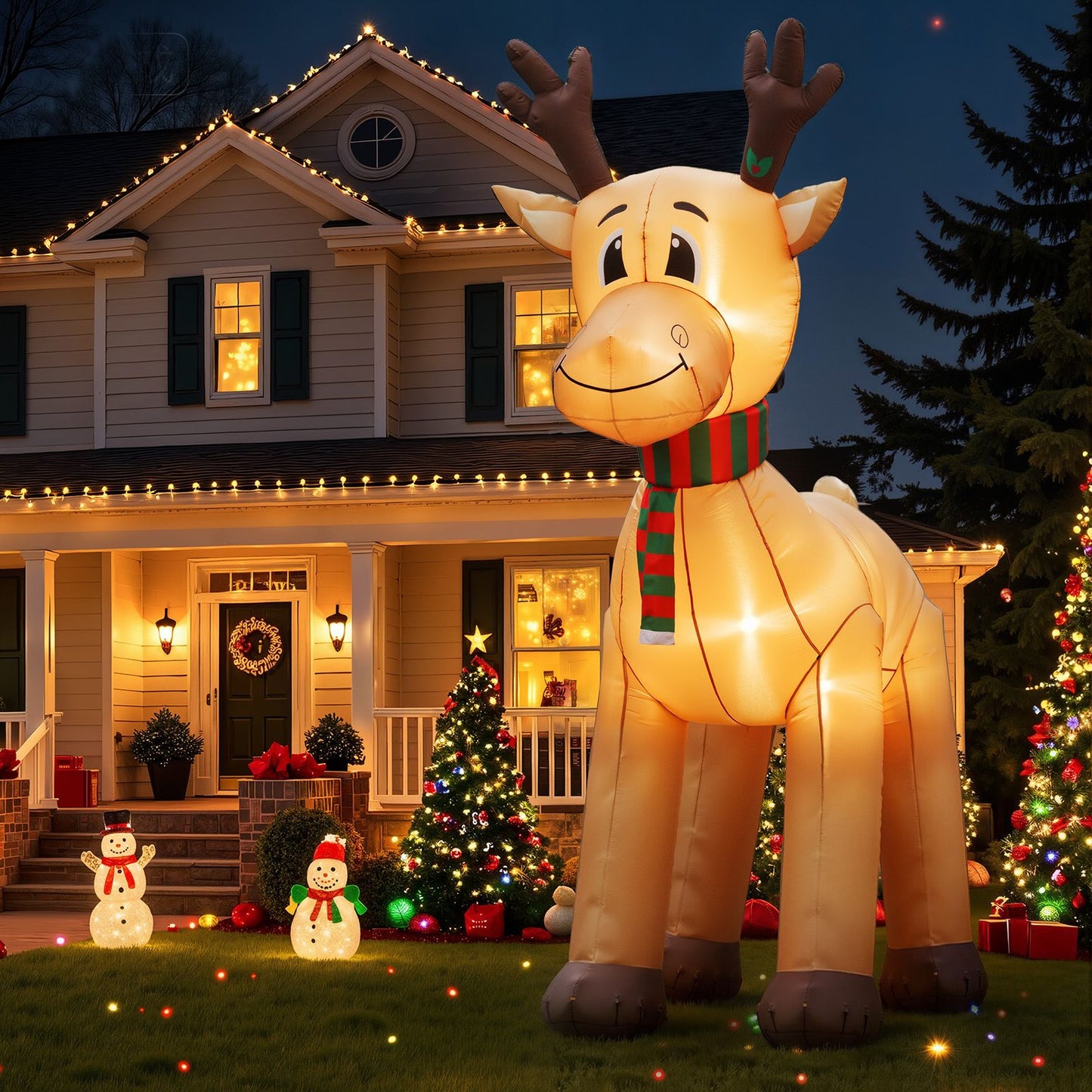 XMAS-INF-REIN-5M-08.jpg