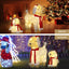 XMAS-MOT-2DOGS-WARM-202508141532-05.jpg