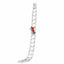 XMAS-MOT-D-LADDER-MC-202509081304-00.jpg