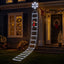 XMAS-MOT-D-LADDER-WH-08.jpg