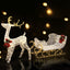 XMAS-MOT-DEER-SLED-WM-07.jpg