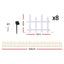 XMAS-MOT-FENCE-GD-01.jpg