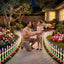 XMAS-MOT-FENCE-MC-08.jpg