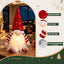 XMAS-MOT-GNOME-3PC-05.jpg