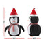 XMAS-MOT-PENGUIN-01.jpg