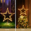 XMAS-MOT-STAR-WARM-190387-04.jpg