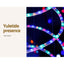 XMAS-MOT-TREE-SOLAR-24-MC-88656-06.jpg