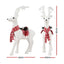 XMAS-REINDEER-M-WH-191748-01.jpg