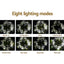 XMAS-ST500-100M-WH-03.jpg