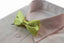 Boys Lime Plain Bow Tie