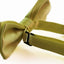 Boys Lime Plain Bow Tie