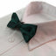 Boys Bottle Green Plain Bow Tie