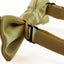 Boys Yellow Gold Plain Bow Tie