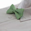 Boys Light Green Polka Dot Pattern Bow Tie