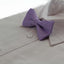 Boys Violet Polka Dot Pattern Bow Tie