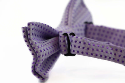 Boys Violet Polka Dot Pattern Bow Tie