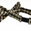 Boys Ivory, Black & Gold Tinsel Checkered  Patterned Cotton Bow Tie